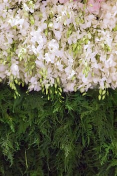 Flowers mixed in wedding scene for background