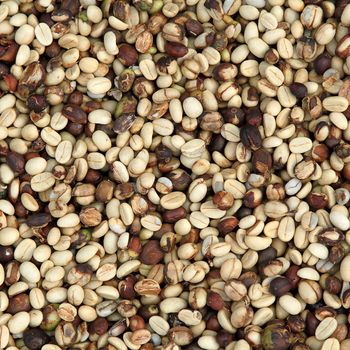 Background texture coffee beans are dried before roasting