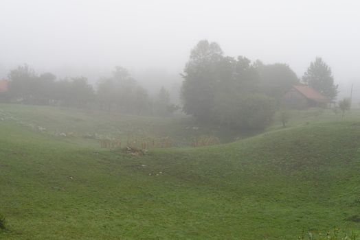 Rural landscape with fog in the morning