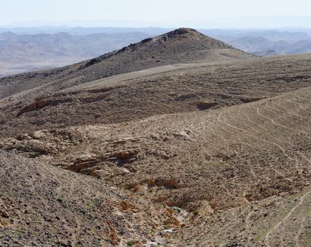 Desert landscape