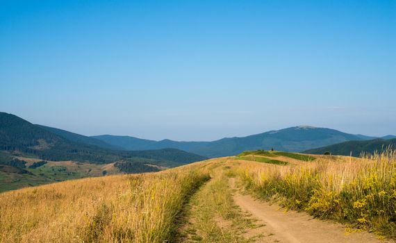 Dirt road against the summer landscape in the Ukrainian Carpathian Mountains