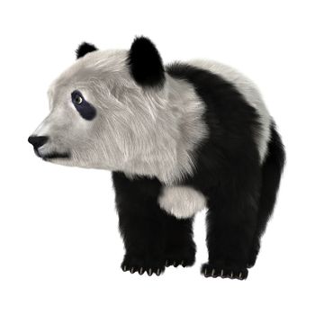 3D digital render of a cute panda bear isolated on white background