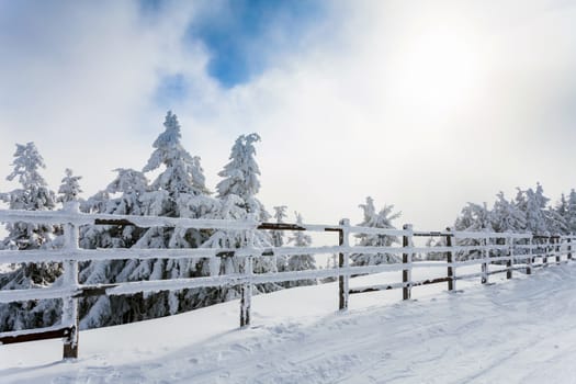 Winter trees and wooden fence covered in snow that borders a mountain road on winter season in Poiana Brasov, Romania