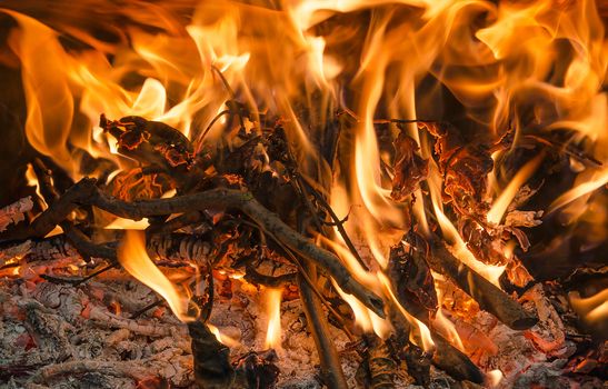 Closeup of firewood Burning fire in fireplace, horizontal shot