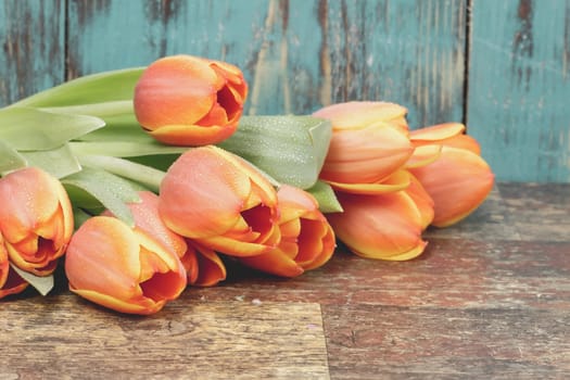 Bouquet of orange tulips over rustic background. Macro, selective focus