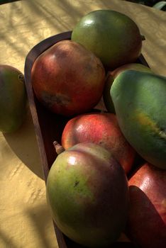 Exotic fruits ready for use in a garden