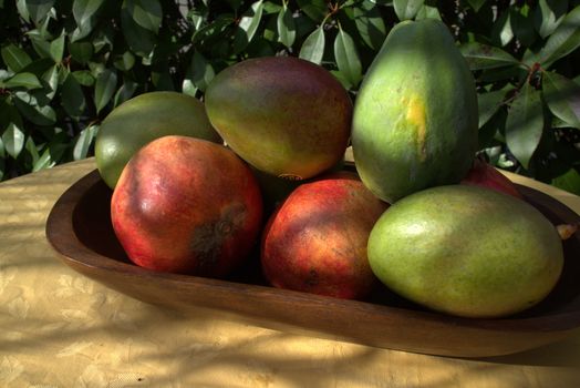 Exotic fruits ready for use in a garden