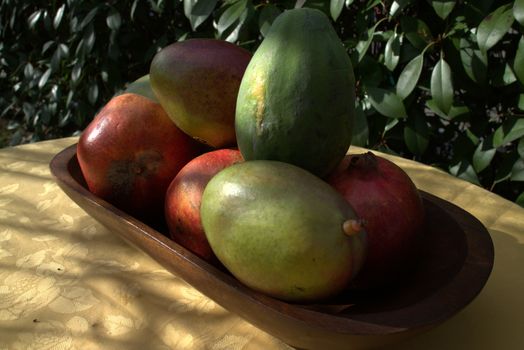 Exotic fruits ready for use in a garden