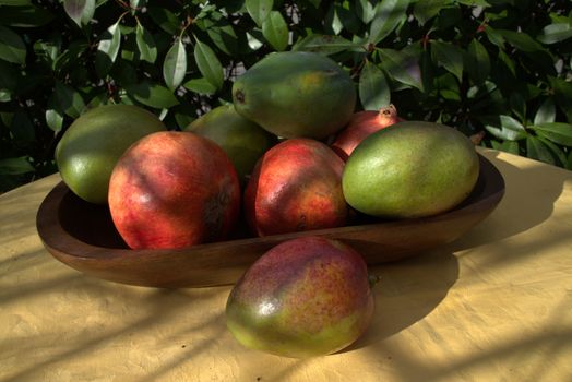 Exotic fruits ready for use in a garden