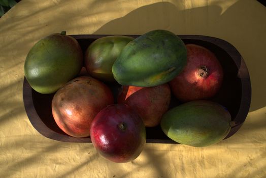 Exotic fruits ready for use in a garden