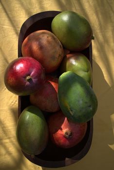 Exotic fruits ready for use in a garden