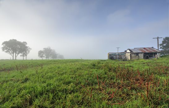 Misty foggy morning at Brundee with an old dairy farm shed on the south coast of NSW.