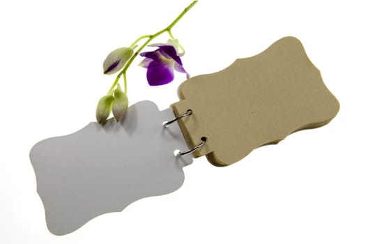 Note book and orchid on isolated white background