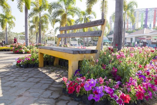 One chair in a flower garden of Thailand.