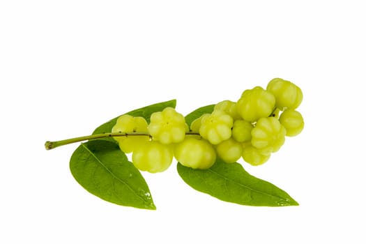 Star gooseberry and leaves on white background.