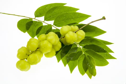 Star gooseberry and leaves on white background.