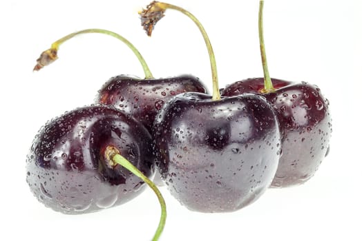 Four cherry berries isolated on white background cutout