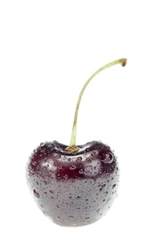 Single ripe cherry isolated on white background  cutout