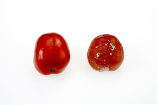 Moldy rotten tomatoes isolate on white background