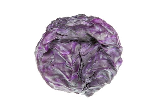 Red cabbage violet cabbage isolated on white background