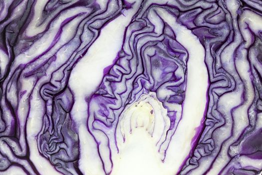Beautiful pattern of purple cabbage close up.