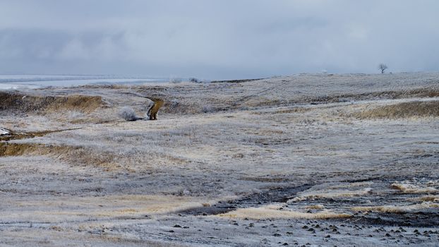 Rustic Road on Frosty Snowy Hills on Cloudy Sky background Outdoors