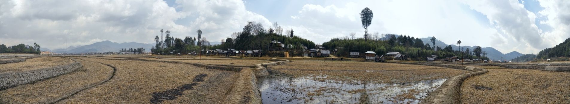 scenic panorama of irrigated fields in Arunachal Pradesh, India