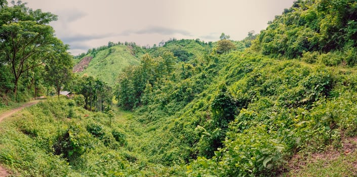 Scenic panorama of green valley in Bangladesh