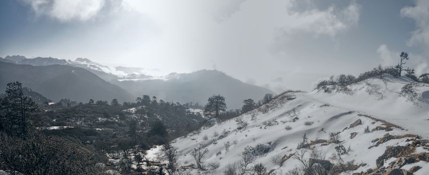 Scenic view of cloudy mountains in Arunachal Pradesh region, India