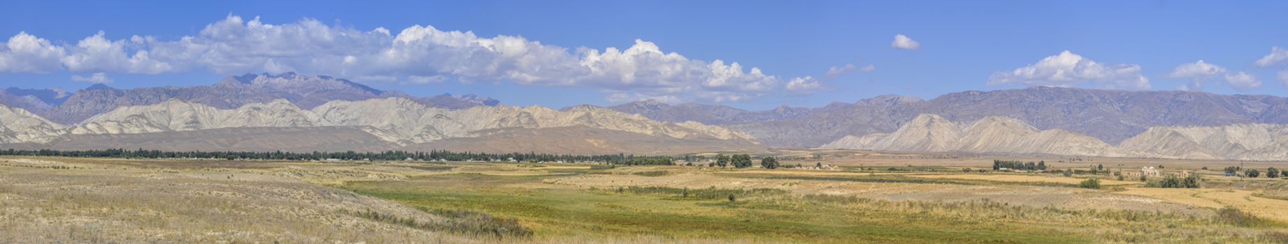 Scenic panorama of green grasslands in Kyrgyzstan