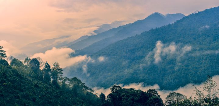 Scenic panorama of cloudy valley in Arunachal Pradesh, India