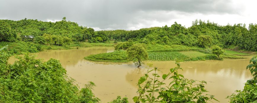 River flooding green fields in Bangladesh