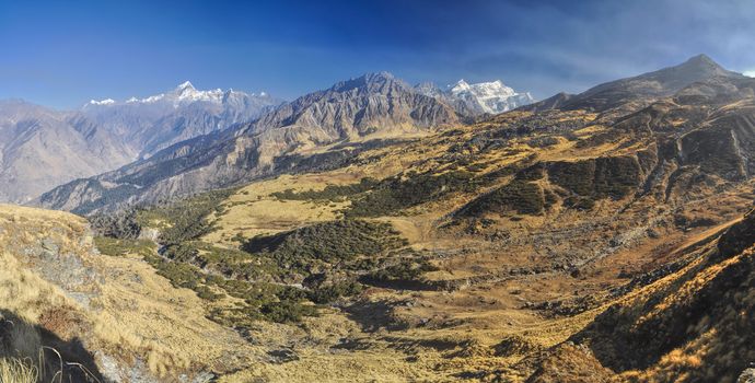 Scenic panorama of Kuari Pass in Himalayas, India
