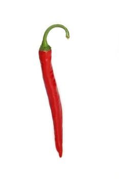 red hot pepper