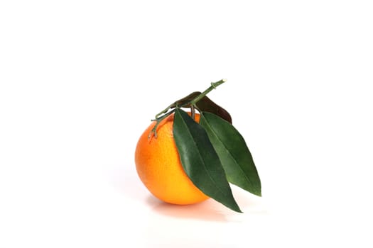 orange with green leavse isolated