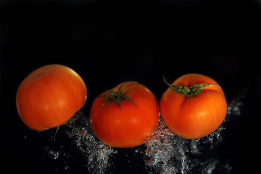 tomatos with bubbles