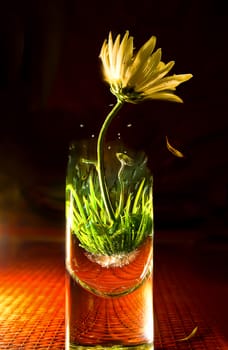 yellow flower in glass