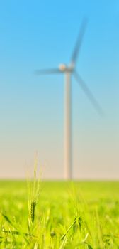 Wind turbines in a wheat field and clear sky