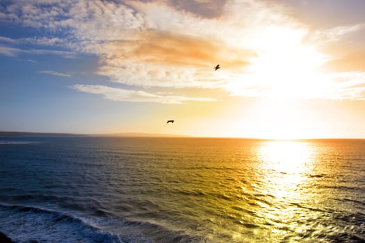 two birds flying into the sunset in Irelands wild atlantic way near Ballybunion county Kerry