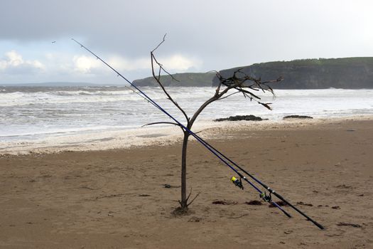 two fishing rods supported by a branch in the sand on a beach in Kerry, Ireland