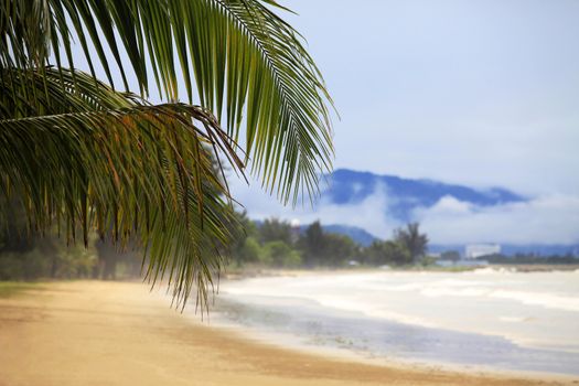 View of nice tropical beach with palm. Borneo, Malaysia
