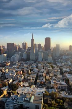 Top view of San Francisco in the center of the building Transamerica Pyramid