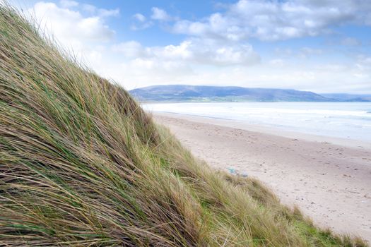 view from dunes at the maharees a beautiful beach in county Kerry Ireland