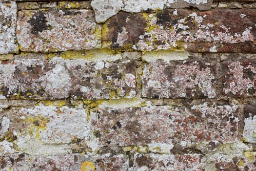 Weathered brick wall covered in lichen as an abstract background texture