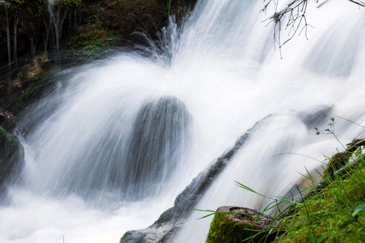 Forest stream surrounded by vegetation running over rocks