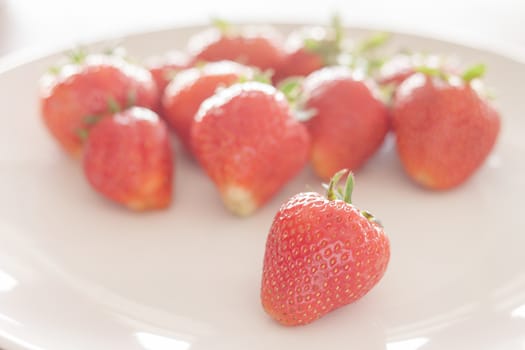 Fresh strawberries on white plate, stock photo