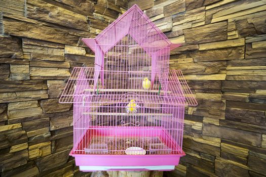 Birds in the cage in the background stone walls.