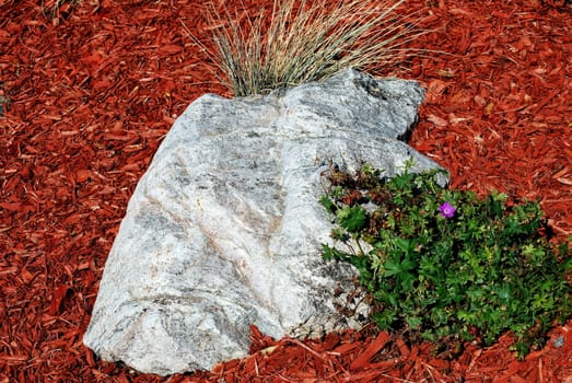 Rock garden exterior view outside.