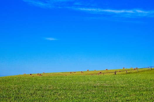 Green field and hale bales on horizon