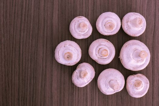 Nine fresh raw mushrooms over wood board